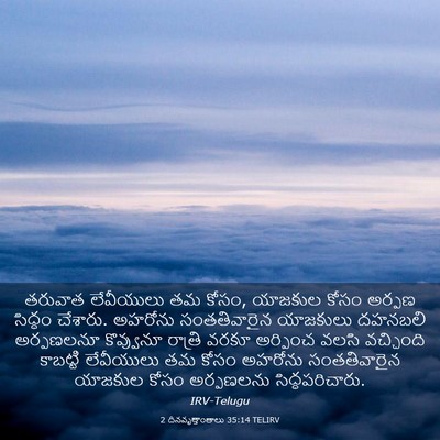 Picture 03 - 2 దినవృత్తాంతాలు 35:14 TELIRV - తరువాత లేవీయులు - Bible Verse Picture