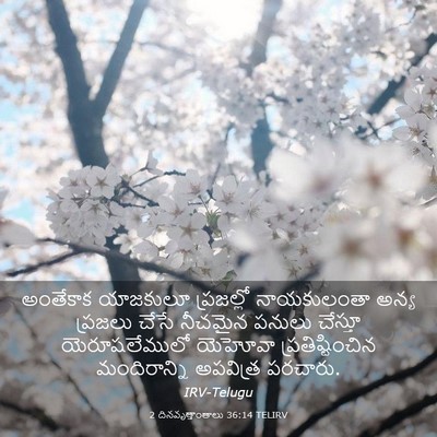Picture 03 - 2 దినవృత్తాంతాలు 36:14 TELIRV - అంతేకాక యాజకులూ - Bible Verse Picture