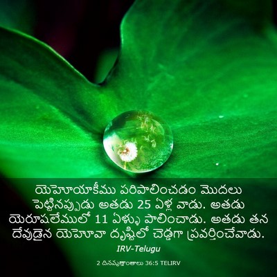 Picture 03 - 2 దినవృత్తాంతాలు 36:5 TELIRV - యెహోయాకీము - Bible Verse Picture