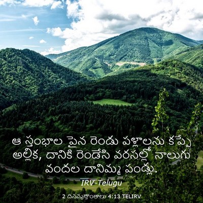 Picture 03 - 2 దినవృత్తాంతాలు 4:13 TELIRV - ఆ స్తంభాల పైన - Bible Verse Picture