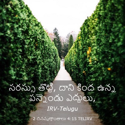 Picture 03 - 2 దినవృత్తాంతాలు 4:15 TELIRV - సరస్సు తొట్టి, - Bible Verse Picture