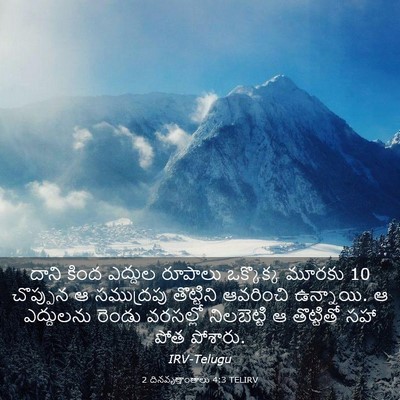 Picture 03 - 2 దినవృత్తాంతాలు 4:3 TELIRV - దాని కింద ఎద్దుల - Bible Verse Picture