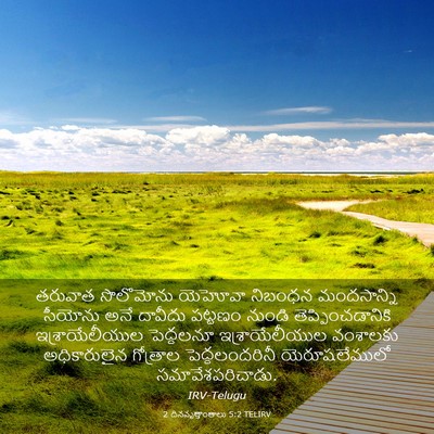 Picture 03 - 2 దినవృత్తాంతాలు 5:2 TELIRV - తరువాత సొలొమోను - Bible Verse Picture