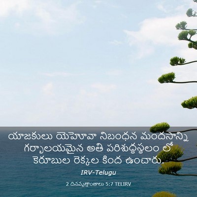 Picture 03 - 2 దినవృత్తాంతాలు 5:7 TELIRV - యాజకులు యెహోవా - Bible Verse Picture
