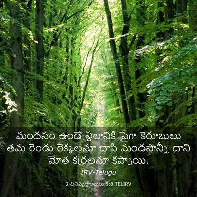 Picture 03 - 2 దినవృత్తాంతాలు 5:8 TELIRV - మందసం ఉండే - Bible Verse Picture