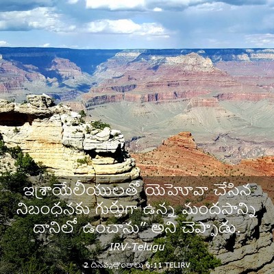 Picture 03 - 2 దినవృత్తాంతాలు 6:11 TELIRV - ఇశ్రాయేలీయులతో - Bible Verse Picture