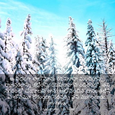 Picture 03 - 2 దినవృత్తాంతాలు 7:11 TELIRV - ఆ విధంగా సొలొమోను - Bible Verse Picture