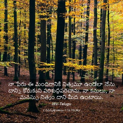 Picture 03 - 2 దినవృత్తాంతాలు 7:16 TELIRV - నా పేరు ఈ - Bible Verse Picture