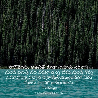 Picture 03 - 2 దినవృత్తాంతాలు 7:8 TELIRV - సొలొమోను, అతనితో - Bible Verse Picture
