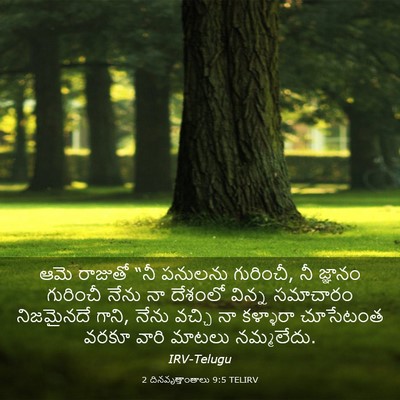 Picture 03 - 2 దినవృత్తాంతాలు 9:5 TELIRV - ఆమె రాజుతో “నీ - Bible Verse Picture