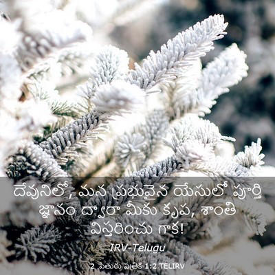 Picture 03 - 2 పేతురు పత్రిక 1:2 TELIRV - దేవునిలో, మన - Bible Verse Picture