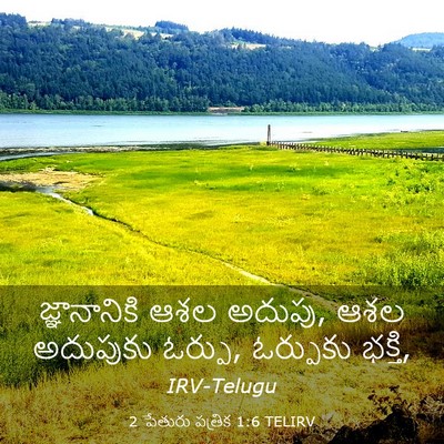 Picture 03 - 2 పేతురు పత్రిక 1:6 TELIRV - జ్ఞానానికి ఆశల - Bible Verse Picture
