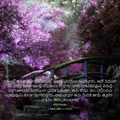 Picture 03 - 2 పేతురు పత్రిక 2:1 TELIRV - గతంలో కూడా - Bible Verse Picture