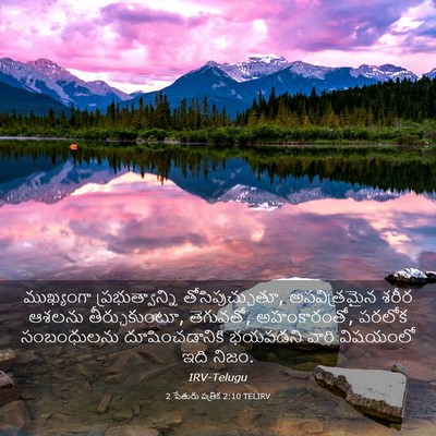 Picture 03 - 2 పేతురు పత్రిక 2:10 TELIRV - ముఖ్యంగా - Bible Verse Picture