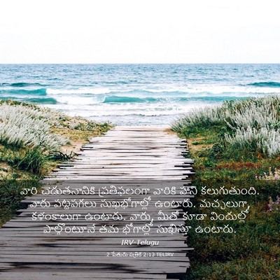 Picture 03 - 2 పేతురు పత్రిక 2:13 TELIRV - వారి చెడుతనానికి - Bible Verse Picture