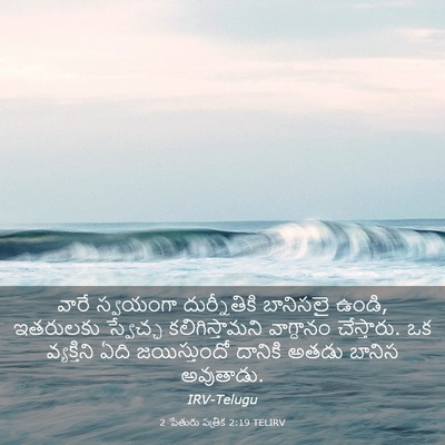 Picture 03 - 2 పేతురు పత్రిక 2:19 TELIRV - వారే స్వయంగా - Bible Verse Picture