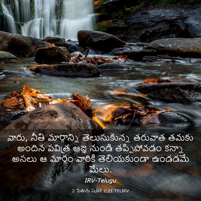 Picture 03 - 2 పేతురు పత్రిక 2:21 TELIRV - వారు, నీతి - Bible Verse Picture