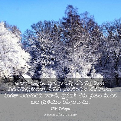Picture 03 - 2 పేతురు పత్రిక 2:5 TELIRV - అలాగే దేవుడు - Bible Verse Picture