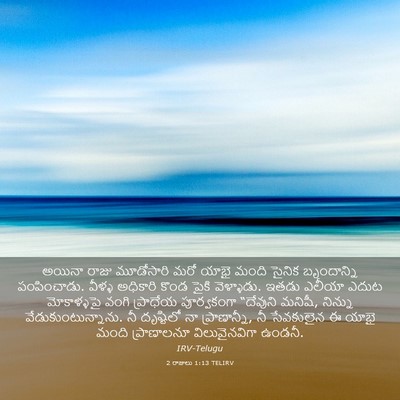 Picture 03 - 2 రాజులు 1:13 TELIRV - అయినా రాజు - Bible Verse Picture