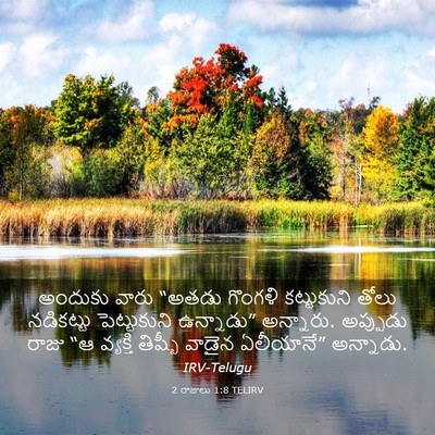 Picture 03 - 2 రాజులు 1:8 TELIRV - అందుకు వారు “అతడు - Bible Verse Picture