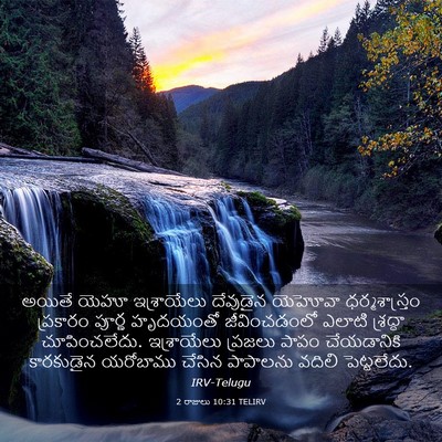 Picture 03 - 2 రాజులు 10:31 TELIRV - అయితే యెహూ - Bible Verse Picture