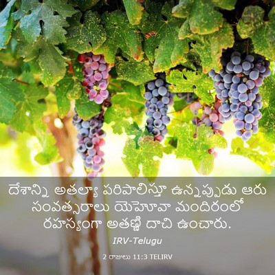 Picture 03 - 2 రాజులు 11:3 TELIRV - దేశాన్ని అతల్యా - Bible Verse Picture