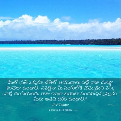 Picture 03 - 2 రాజులు 11:8 TELIRV - మీలో ప్రతి ఒక్కరూ - Bible Verse Picture