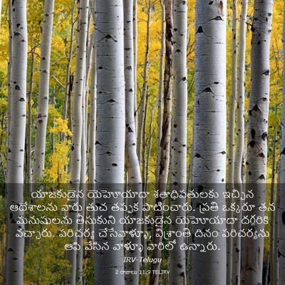 Picture 03 - 2 రాజులు 11:9 TELIRV - యాజకుడైన యెహోయాదా - Bible Verse Picture