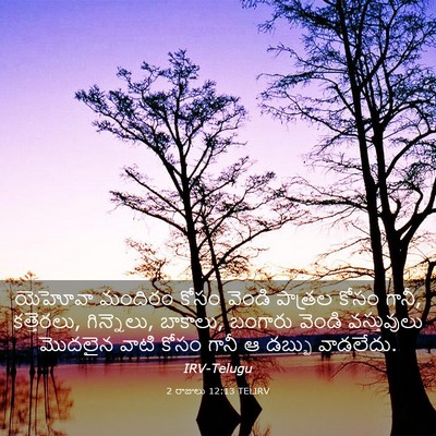 Picture 03 - 2 రాజులు 12:13 TELIRV - యెహోవా మందిరం - Bible Verse Picture