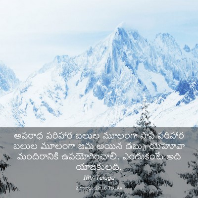 Picture 03 - 2 రాజులు 12:16 TELIRV - అపరాధ పరిహార బలుల - Bible Verse Picture