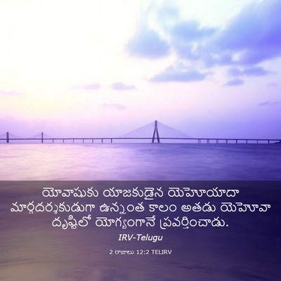 Picture 03 - 2 రాజులు 12:2 TELIRV - యోవాషుకు యాజకుడైన - Bible Verse Picture
