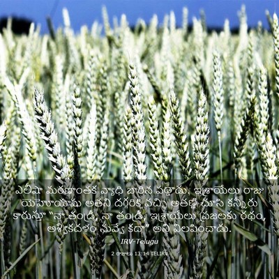 Picture 03 - 2 రాజులు 13:14 TELIRV - ఎలీషా మరణాంతక - Bible Verse Picture