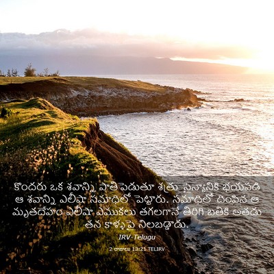 Picture 03 - 2 రాజులు 13:21 TELIRV - కొందరు ఒక శవాన్ని - Bible Verse Picture