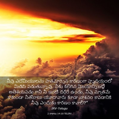 Picture 03 - 2 రాజులు 14:10 TELIRV - నీవు ఎదోమీయులను - Bible Verse Picture