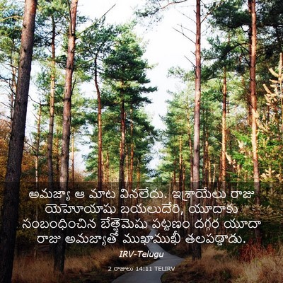 Picture 03 - 2 రాజులు 14:11 TELIRV - అమజ్యా ఆ మాట - Bible Verse Picture