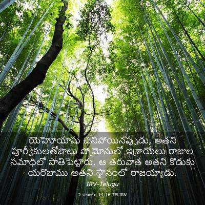 Picture 03 - 2 రాజులు 14:16 TELIRV - యెహోయాషు - Bible Verse Picture