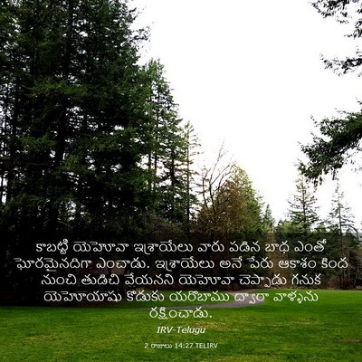 Picture 03 - 2 రాజులు 14:27 TELIRV - కాబట్టి యెహోవా - Bible Verse Picture