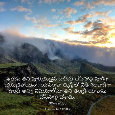 Picture 03 - 2 రాజులు 14:3 TELIRV - ఇతడు తన - Bible Verse Picture