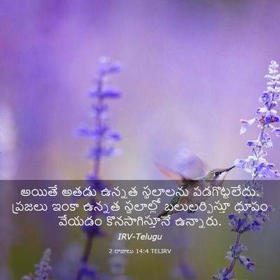 Picture 03 - 2 రాజులు 14:4 TELIRV - అయితే అతడు ఉన్నత - Bible Verse Picture