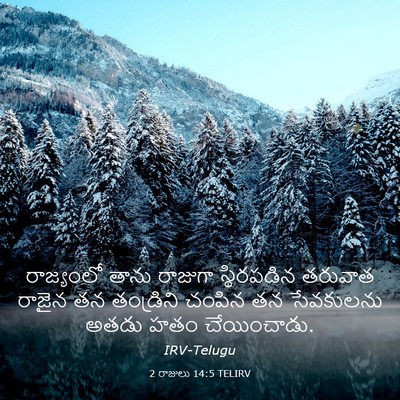 Picture 03 - 2 రాజులు 14:5 TELIRV - రాజ్యంలో తాను - Bible Verse Picture