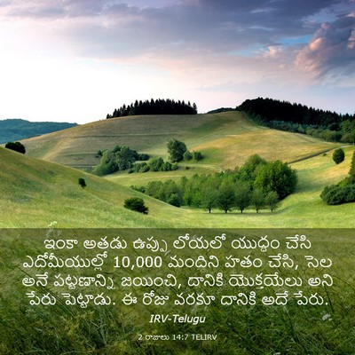 Picture 03 - 2 రాజులు 14:7 TELIRV - ఇంకా అతడు ఉప్పు - Bible Verse Picture