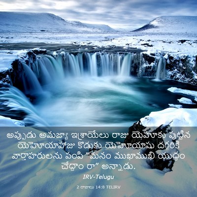 Picture 03 - 2 రాజులు 14:8 TELIRV - అప్పుడు అమజ్యా - Bible Verse Picture
