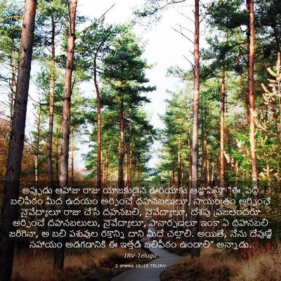 Picture 03 - 2 రాజులు 16:15 TELIRV - అప్పుడు ఆహాజు - Bible Verse Picture