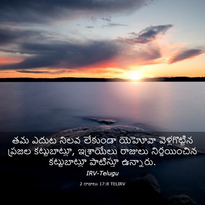 Picture 03 - 2 రాజులు 17:8 TELIRV - తమ ఎదుట నిలవ - Bible Verse Picture