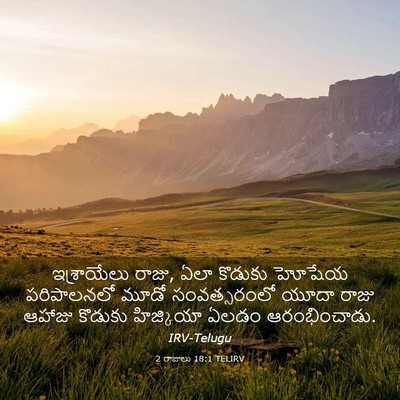 Picture 03 - 2 రాజులు 18:1 TELIRV - ఇశ్రాయేలు రాజు, - Bible Verse Picture