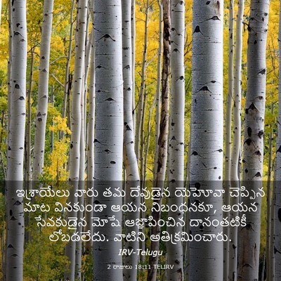Picture 03 - 2 రాజులు 18:11 TELIRV - ఇశ్రాయేలు వారు తమ - Bible Verse Picture