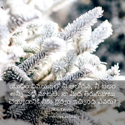Picture 03 - 2 రాజులు 18:20 TELIRV - యుద్ధం విషయంలో నీ - Bible Verse Picture