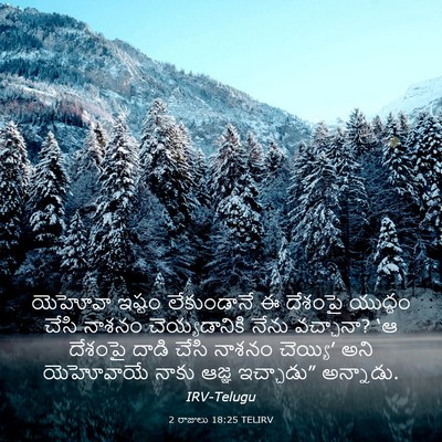 Picture 03 - 2 రాజులు 18:25 TELIRV - యెహోవా ఇష్టం - Bible Verse Picture