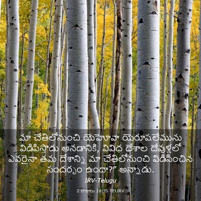 Picture 03 - 2 రాజులు 18:35 TELIRV - మా చేతిలోనుంచి - Bible Verse Picture
