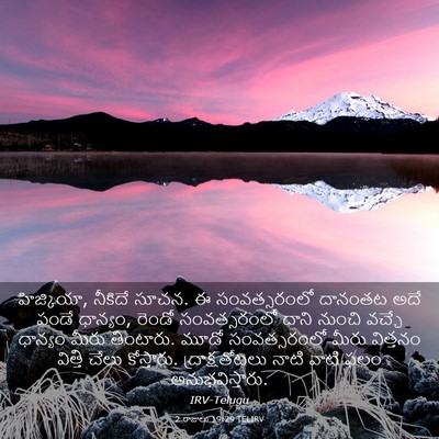 Picture 03 - 2 రాజులు 19:29 TELIRV - హిజ్కియా, నీకిదే - Bible Verse Picture